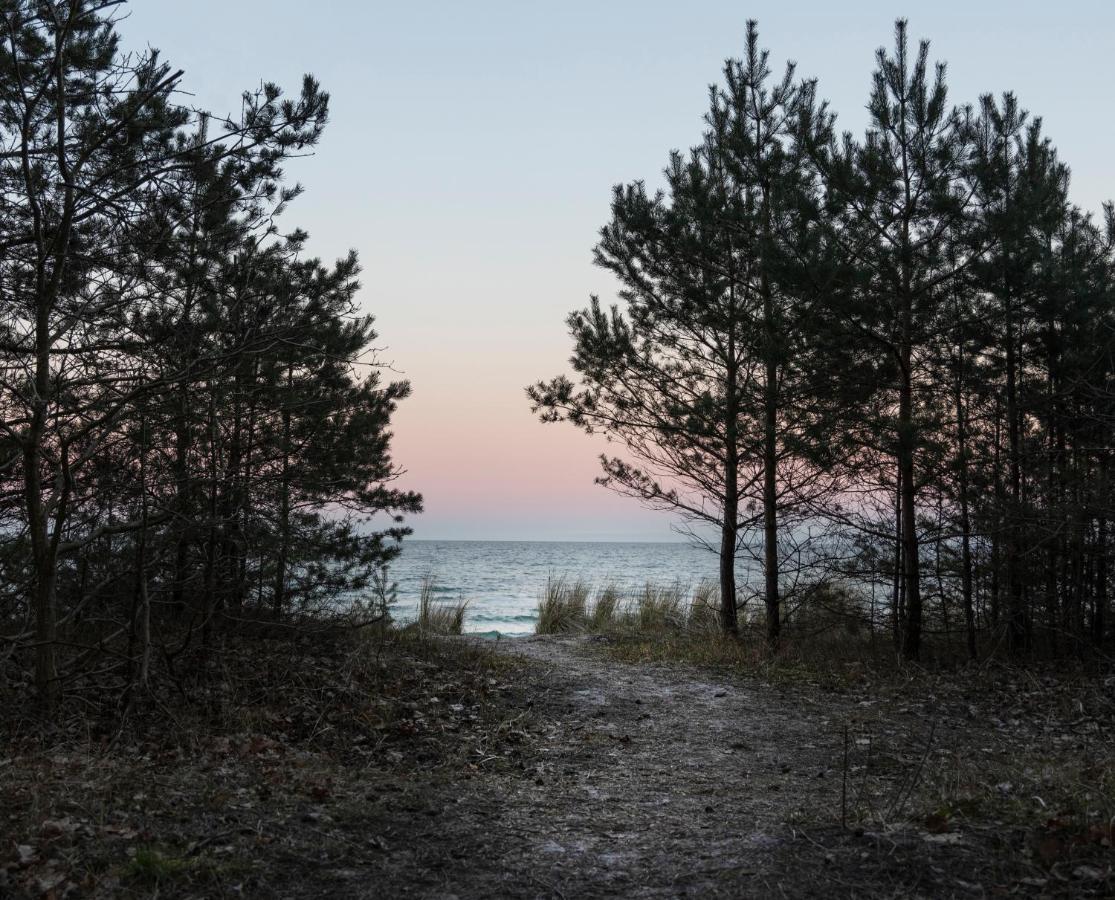Safari Lodge Prora - Mit Sauna Und Direktem Strandzugang Binz Exteriér fotografie